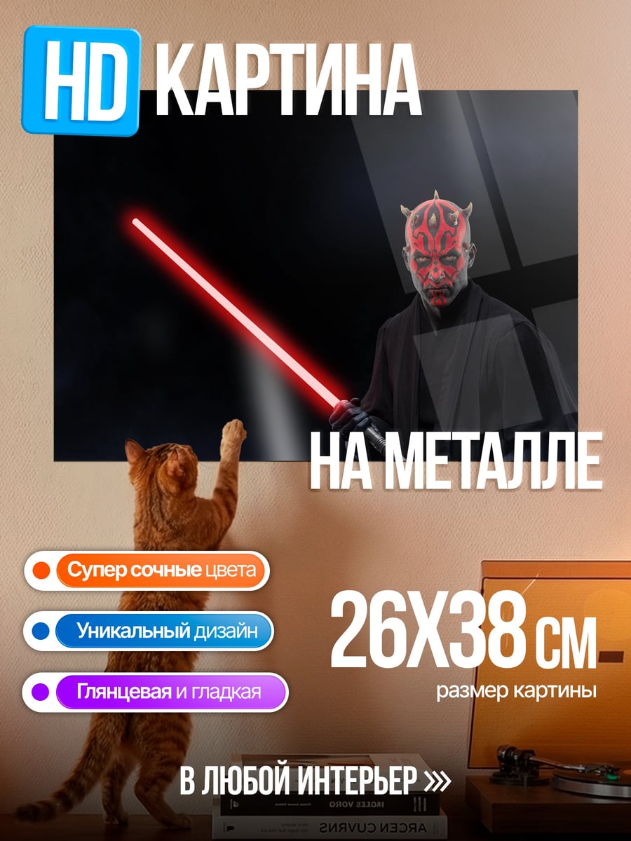 Картина на металле Дарт Мол с мечом