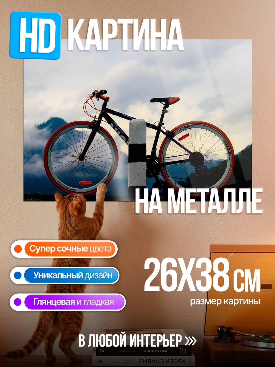 Картина на металле Велосипед в горах