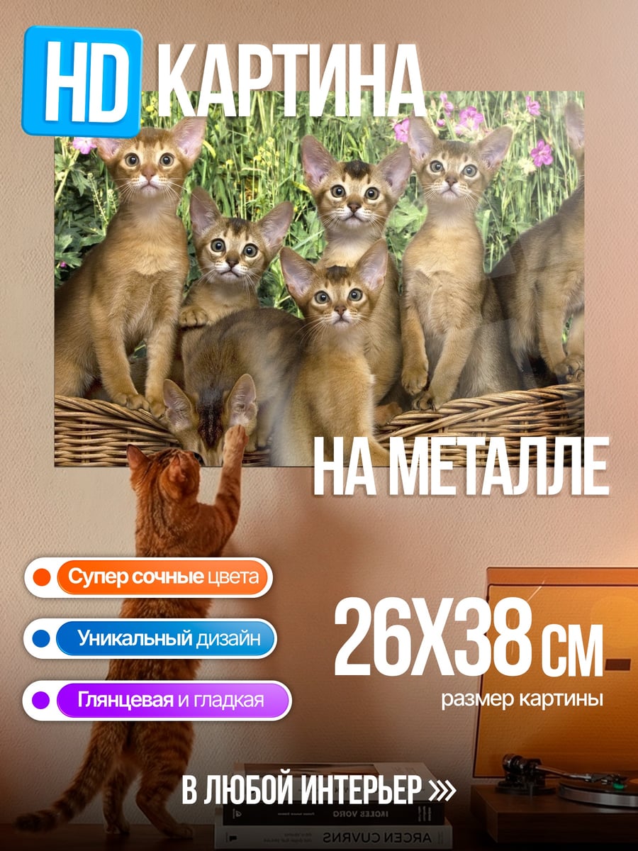 Картина на металле Котята в корзине