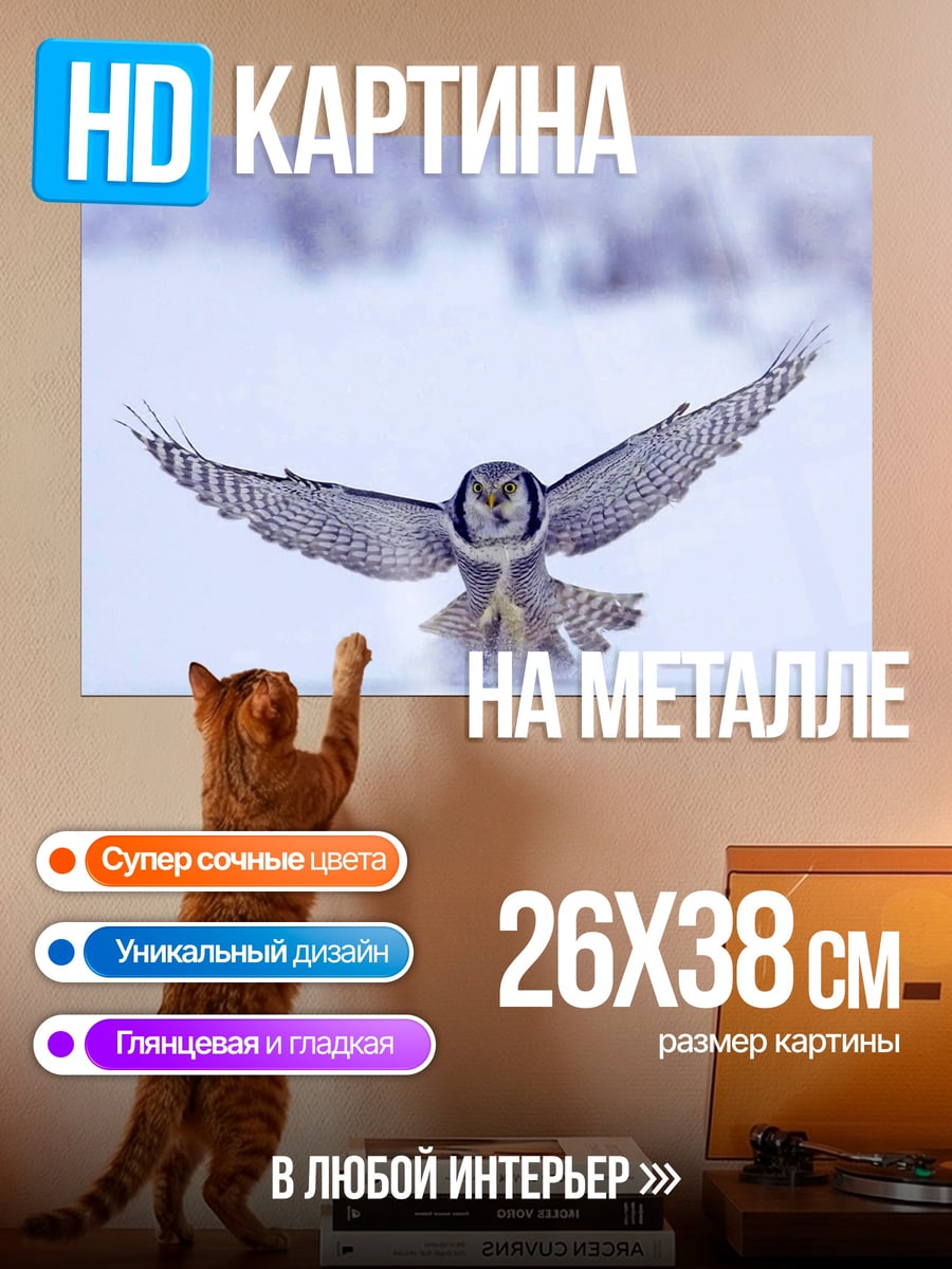 Картина на металле Сова в полете