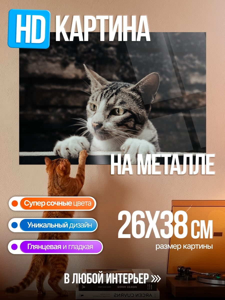 Картина на металле Любопытный кот