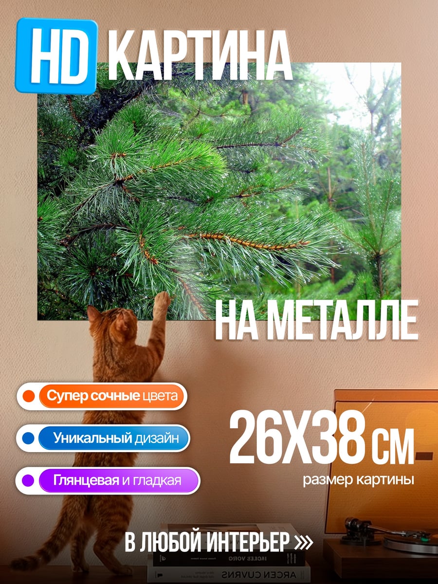 Картина на металле Ветки сосны