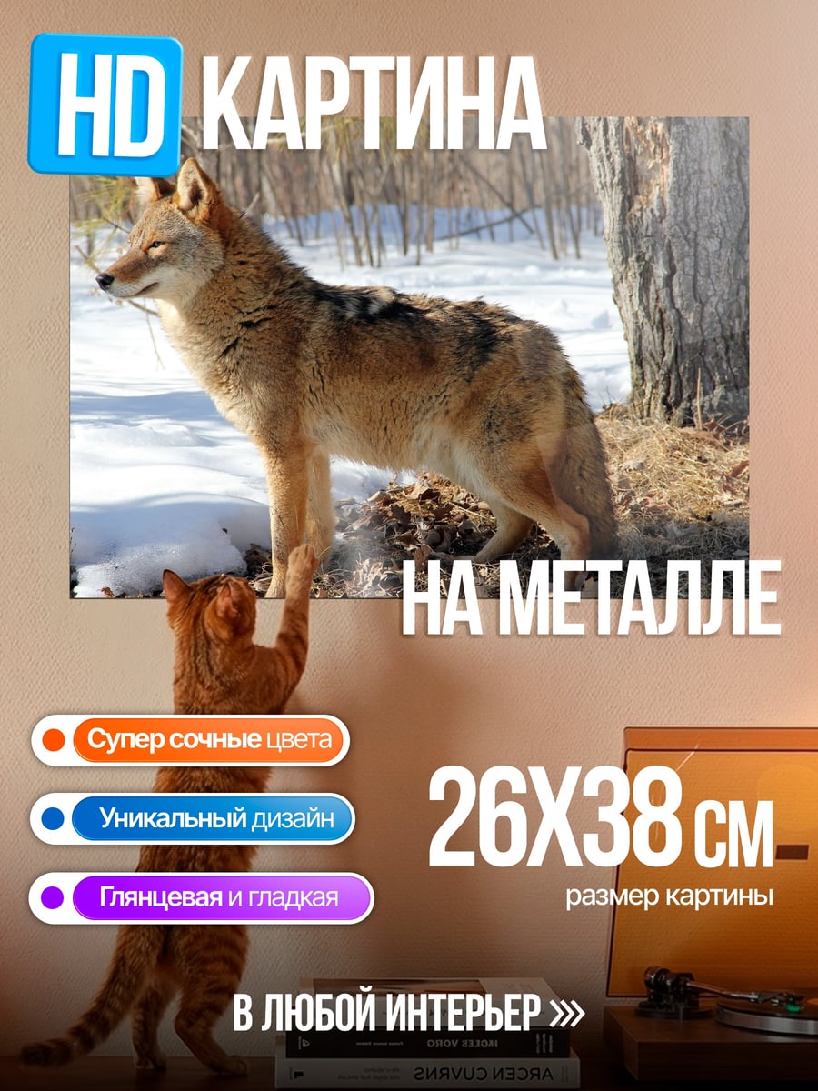 Картина на металле Волк в лесу