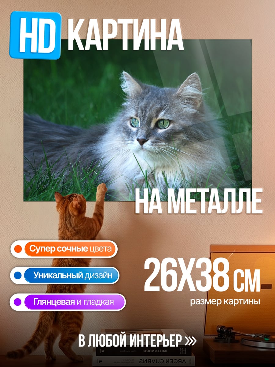 Картина на металле Кот на траве