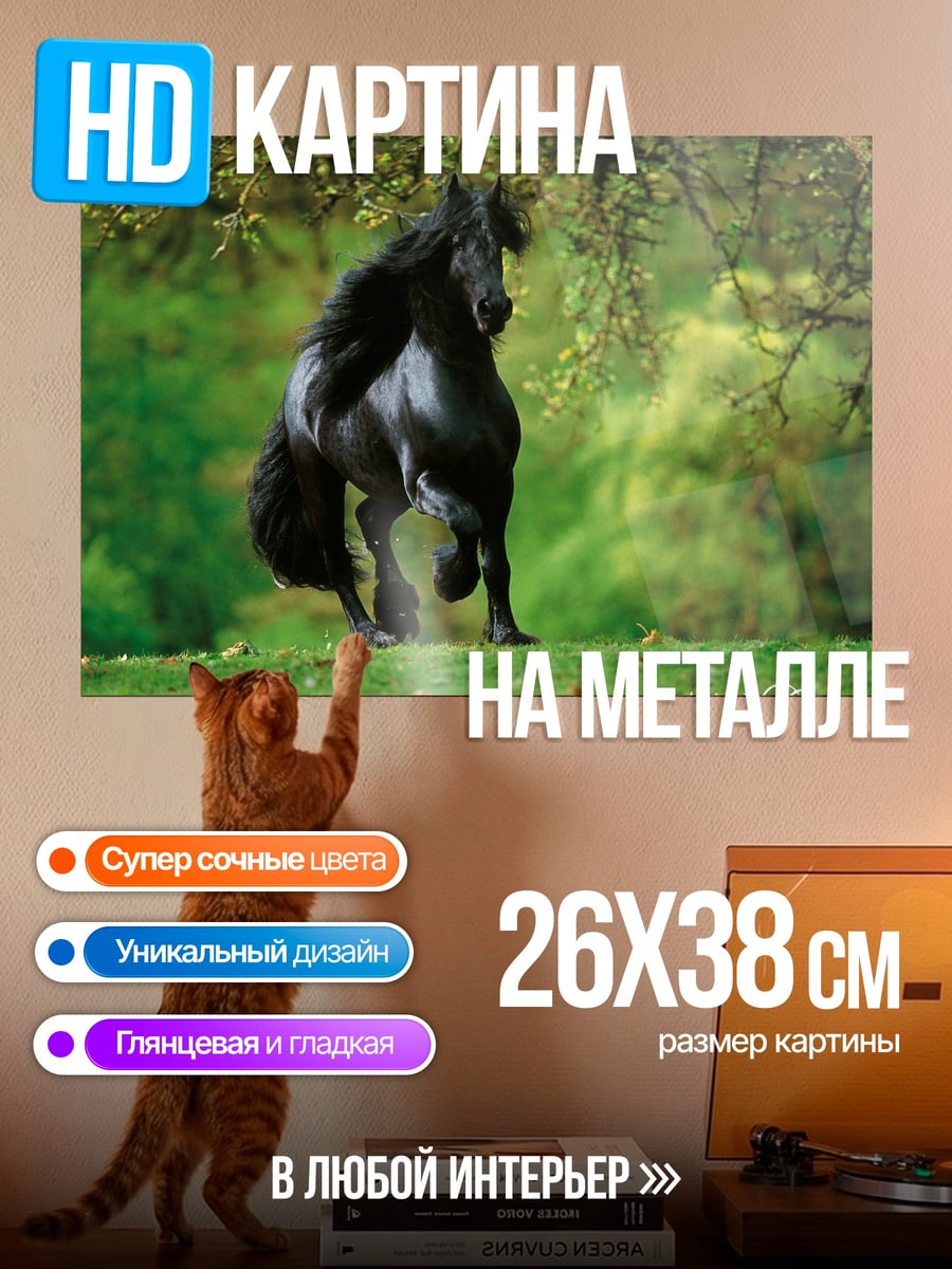 Картина на металле Черный жеребец