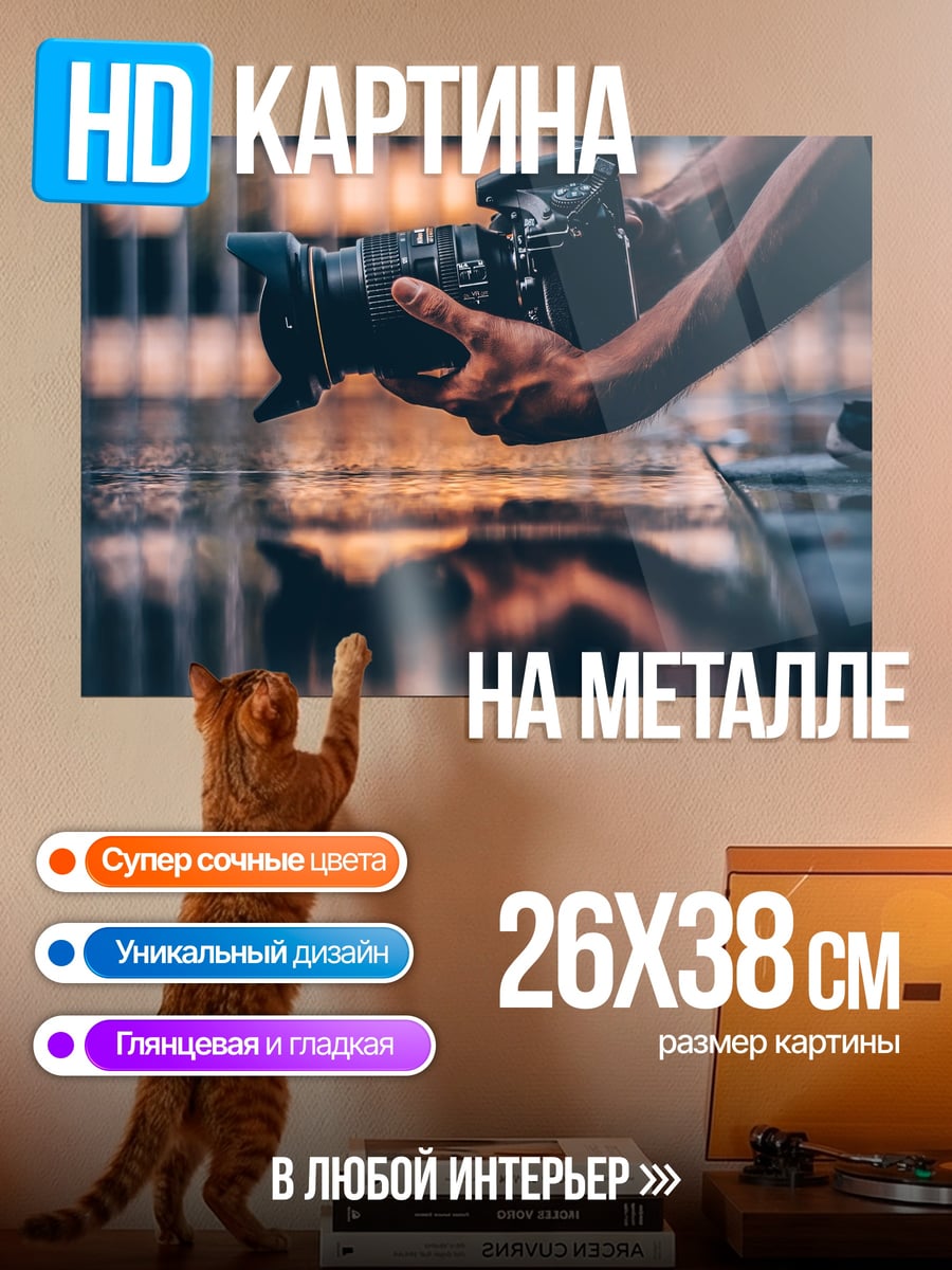 Картина на металле Фотограф с камерой