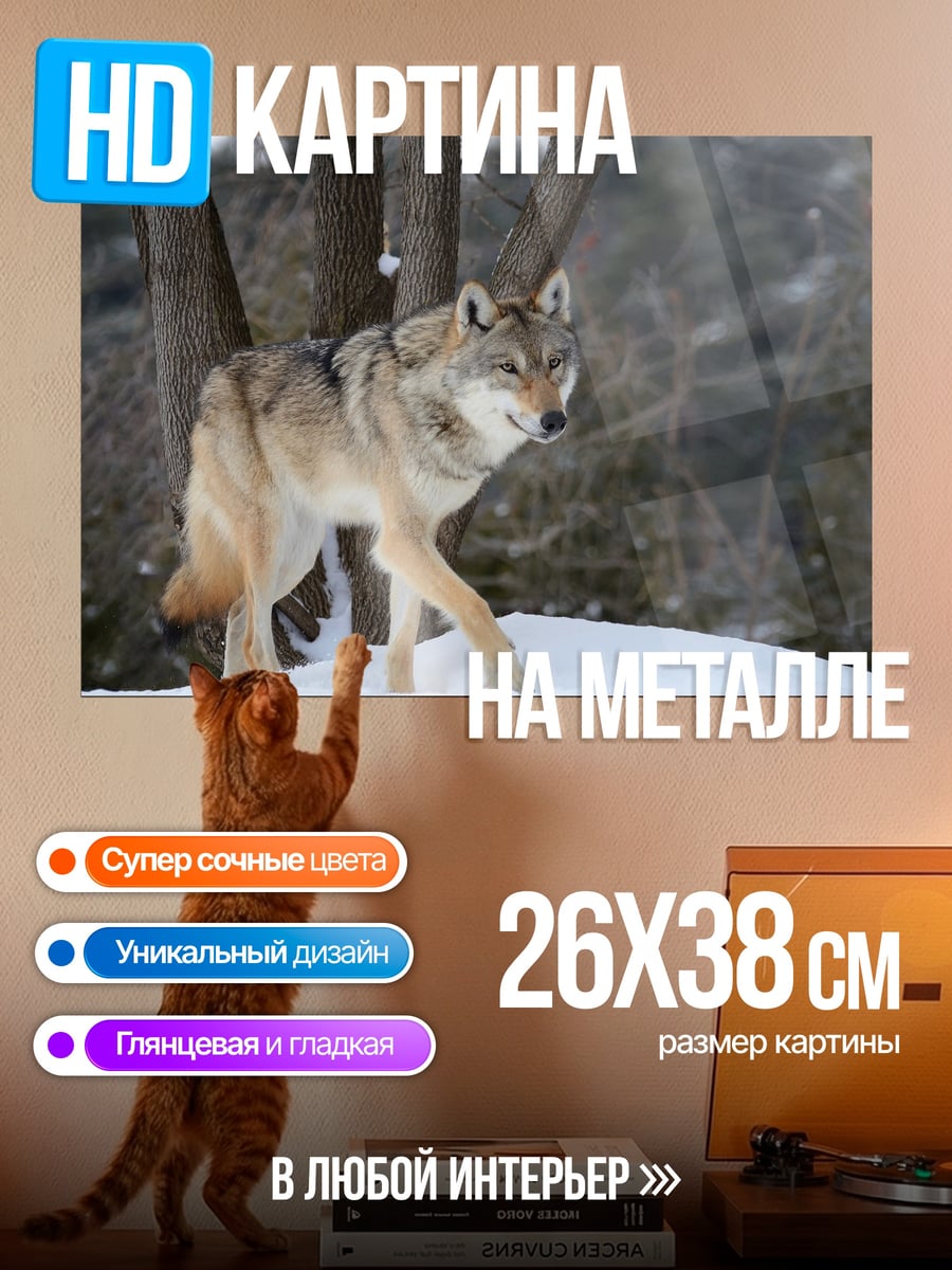 Картина на металле волк в снегу