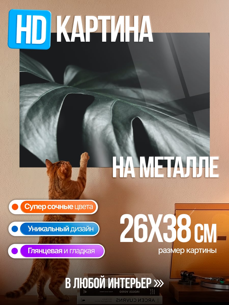 Картина на металле лист монстеры