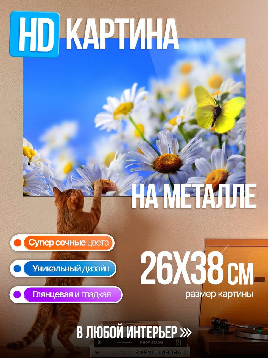 Картина на металле ромашки бабочка небо