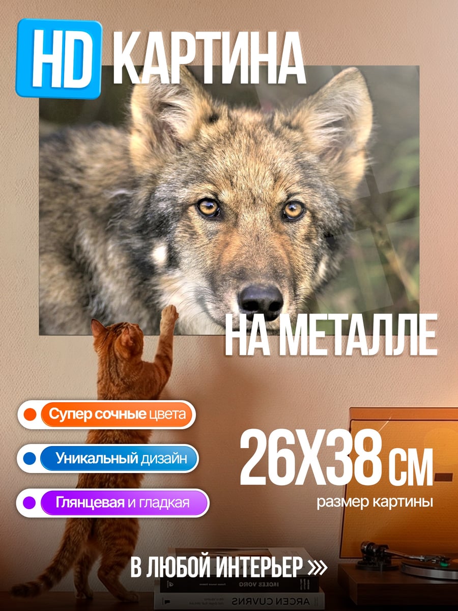 Картина на металле портрет волка