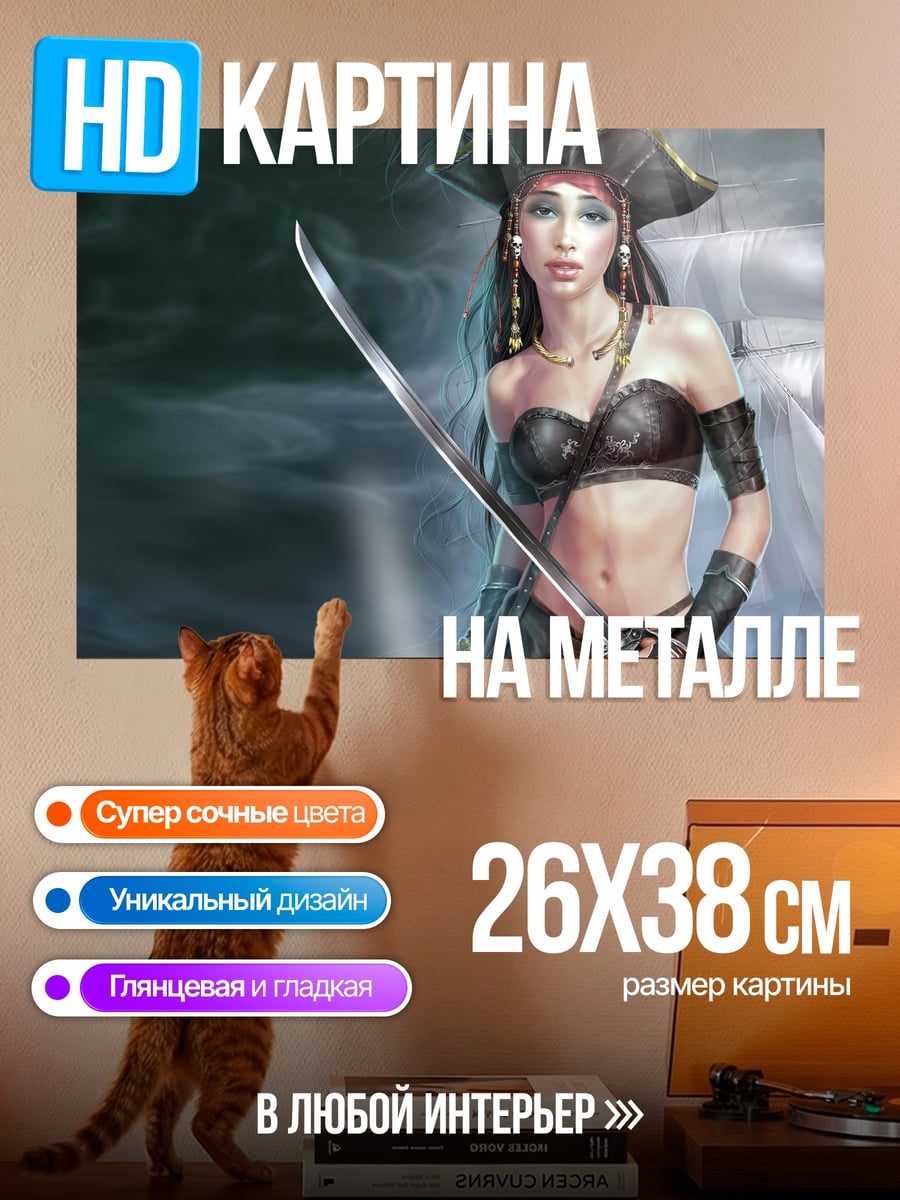 Картина на металле Пиратка с саблей