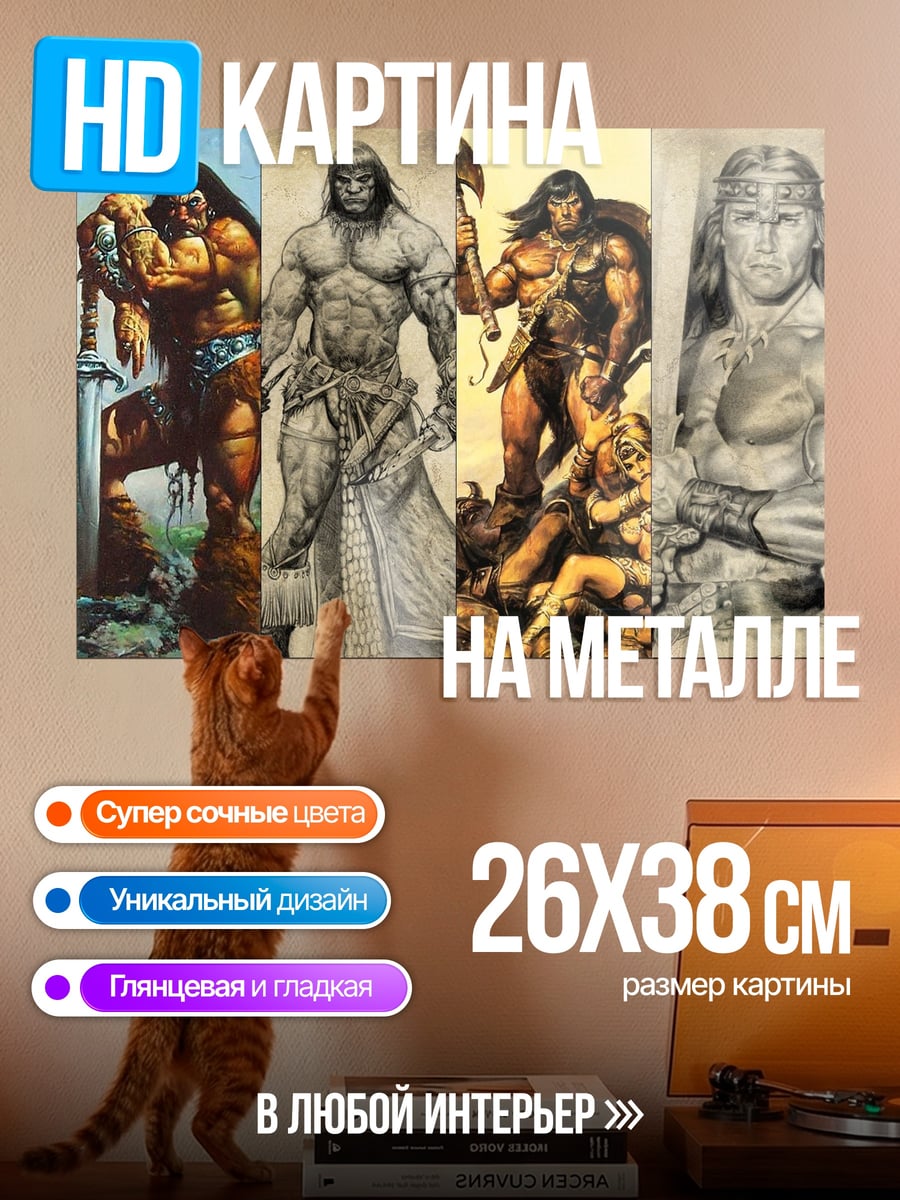 Картина на металле Конан Варвар
