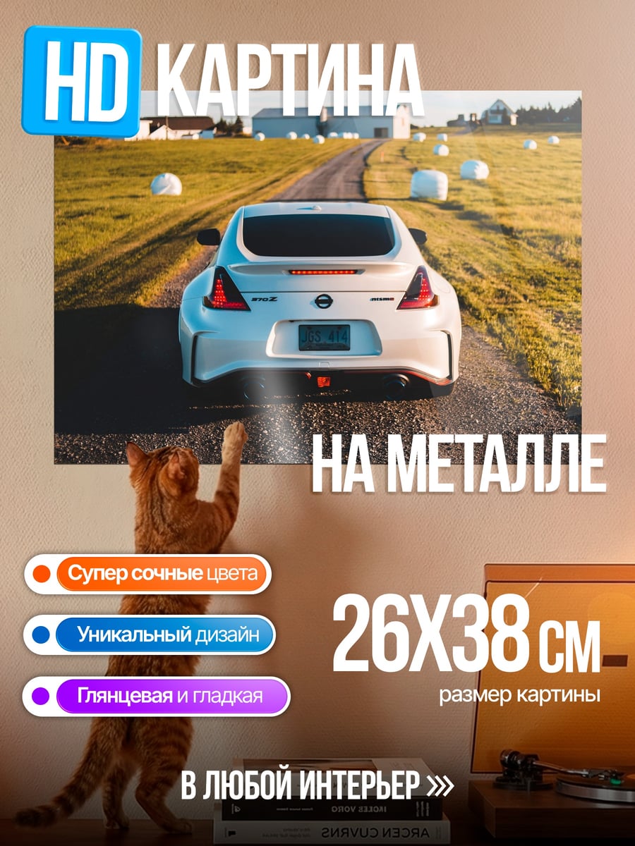 Картина на металле Спортивное купе
