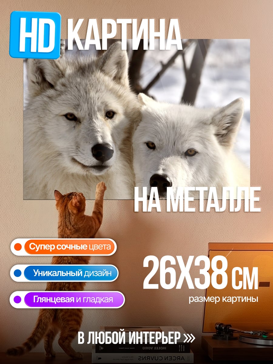 Картина на металле Белые волки