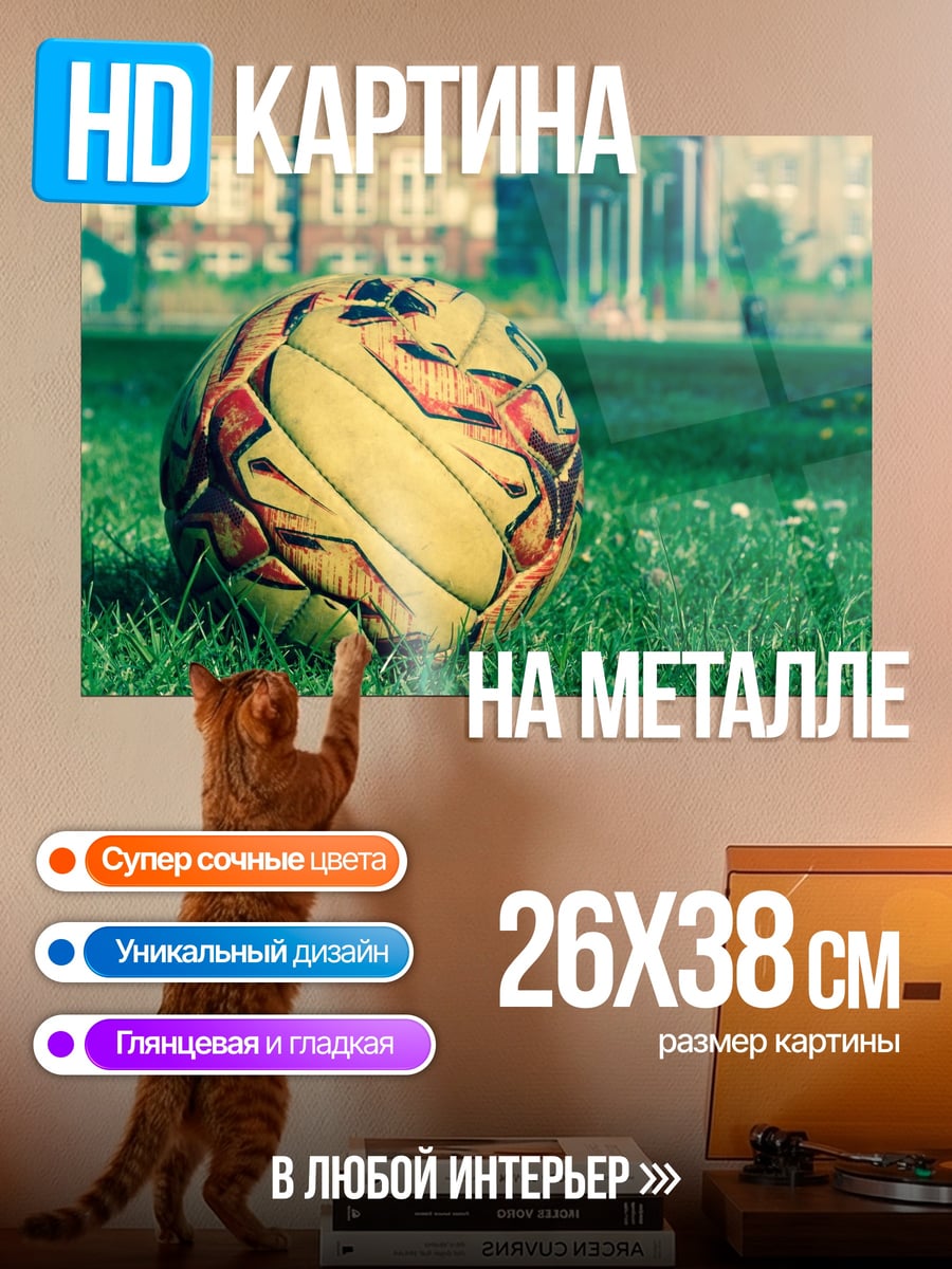 Картина на металле Футбольный мяч на траве