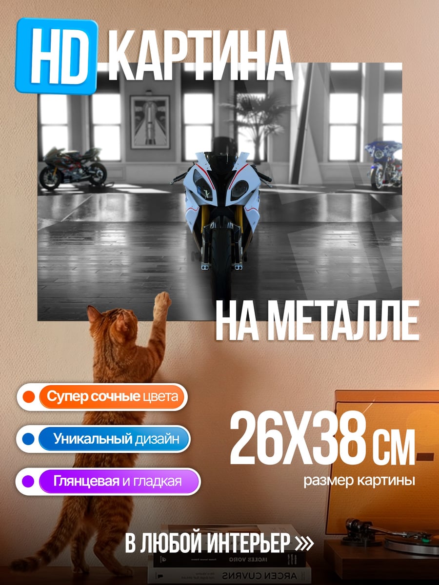 Картина на металле спортивный мотоцикл в зале