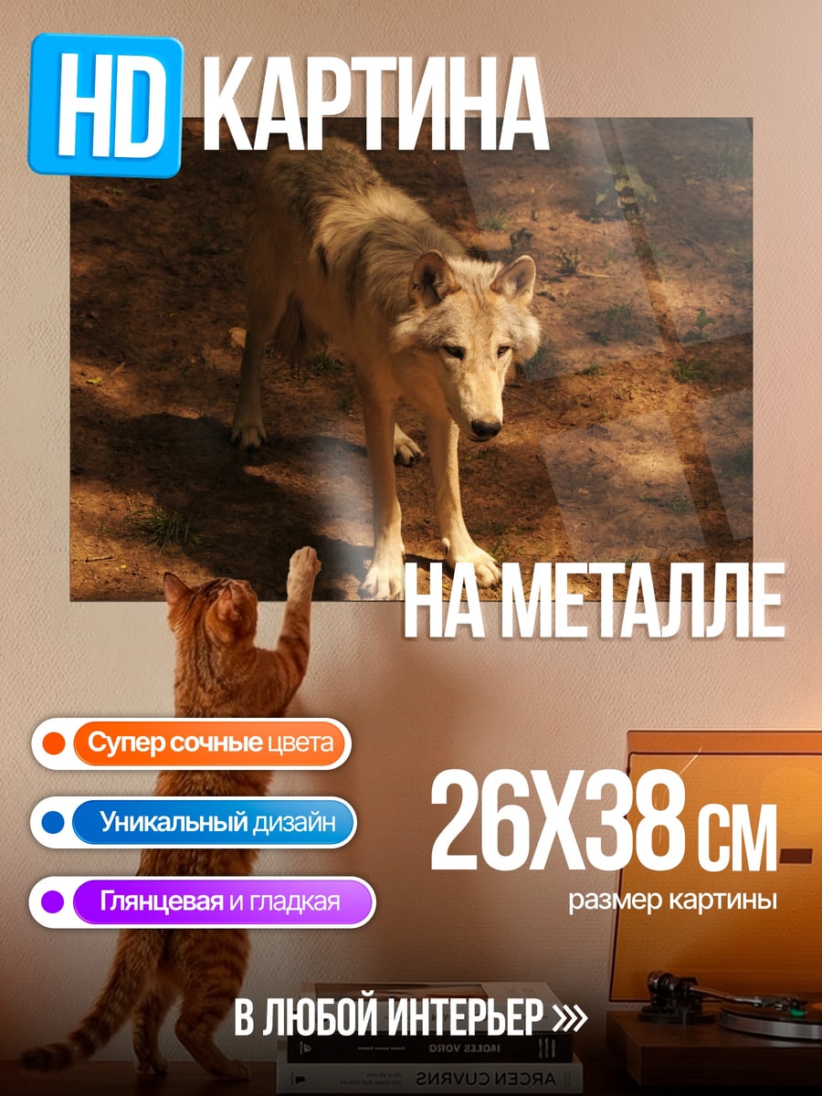 Картина на металле Одинокий волк
