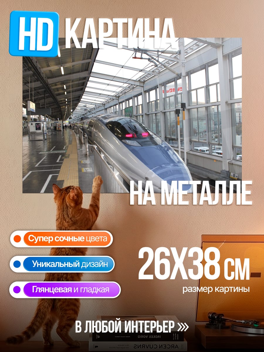 Картина на металле Скоростной поезд Синкансэн