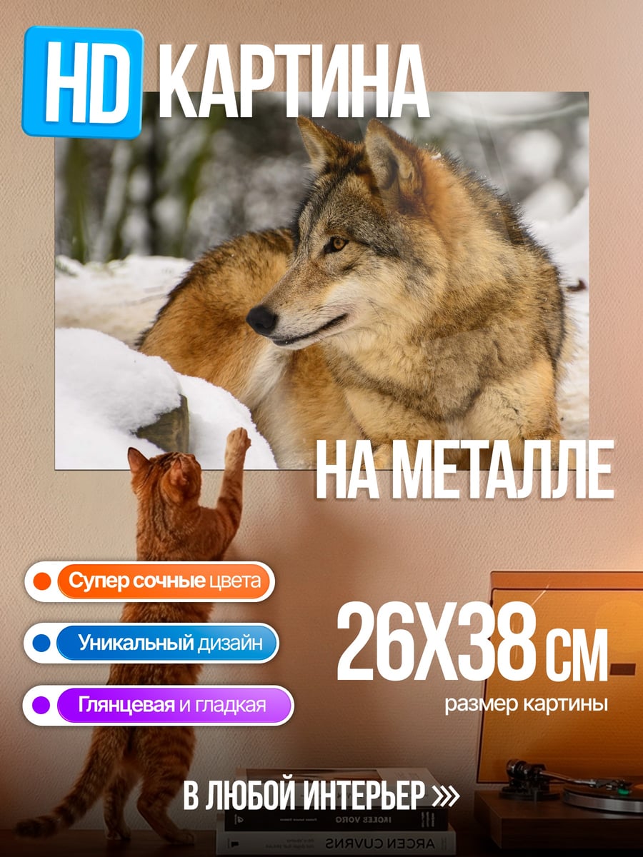 Картина на металле Волк в снегу