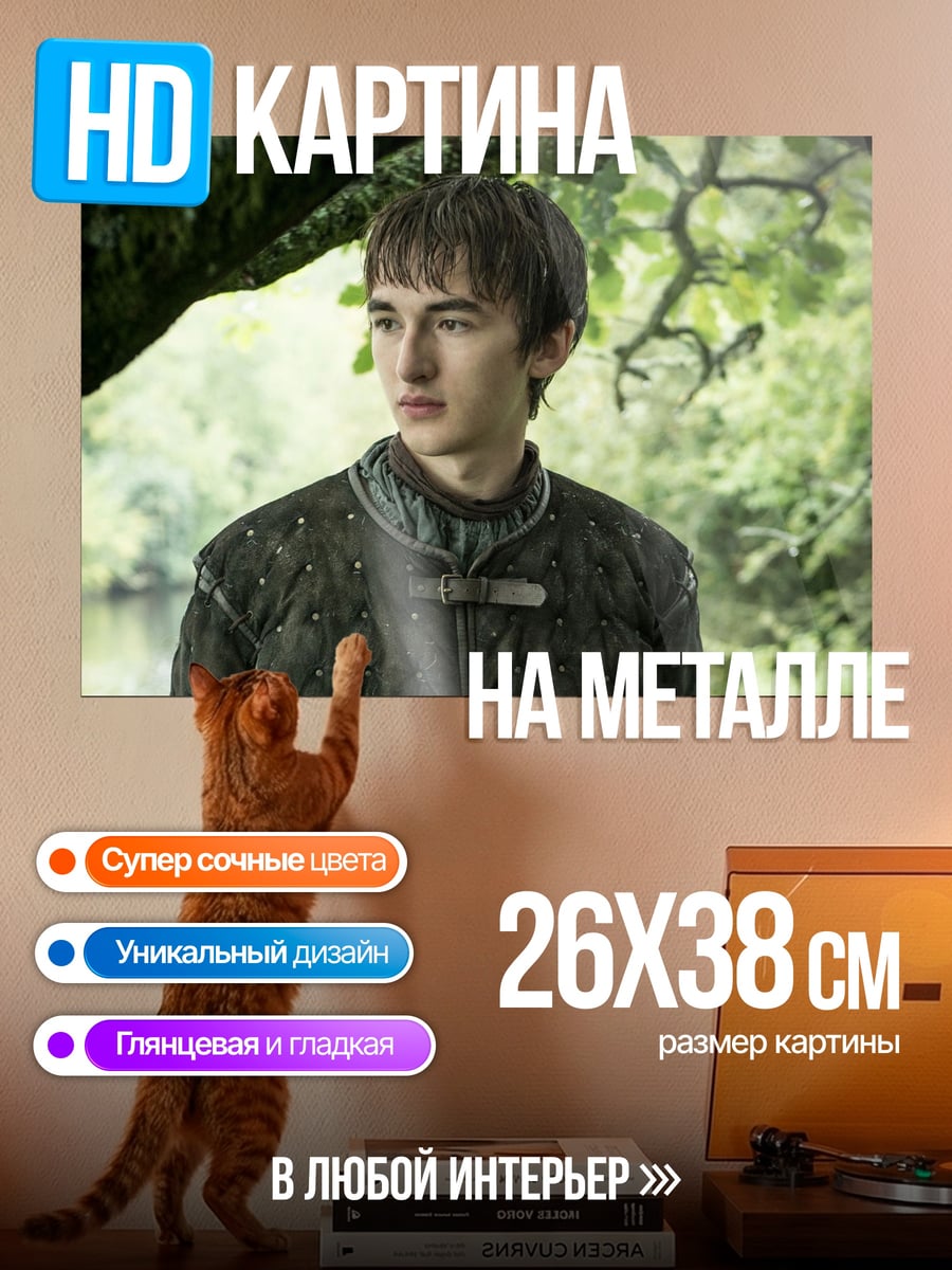 Картина на металле Бран Старк