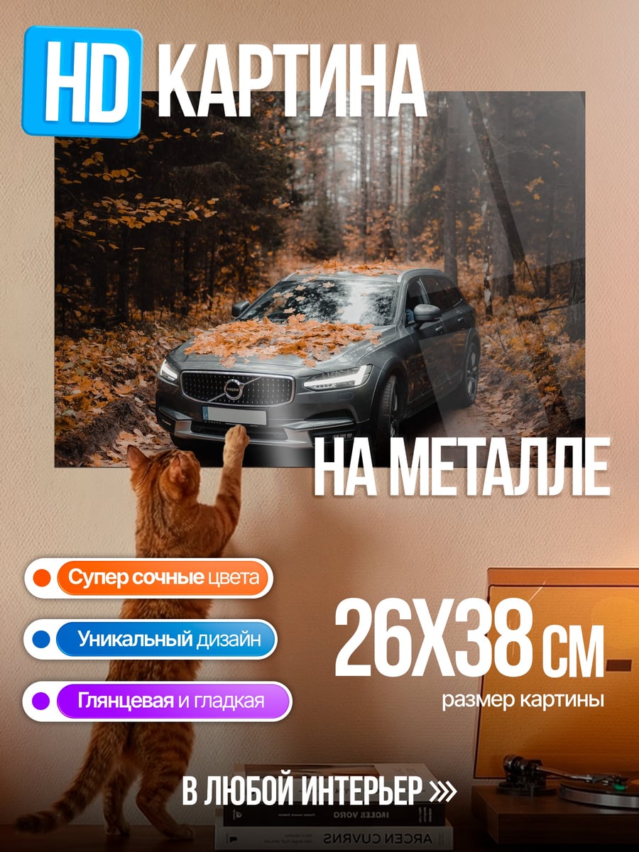 Картина на металле Осенний лес и машина