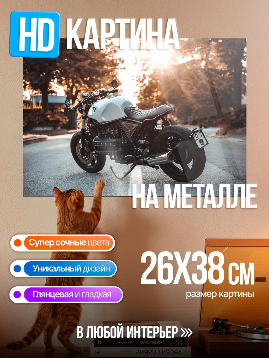 Картина на металле Мотоцикл на дороге
