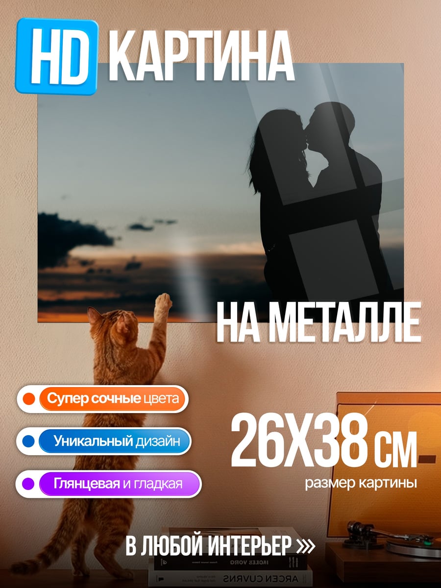 Картина на металле Пара на закате