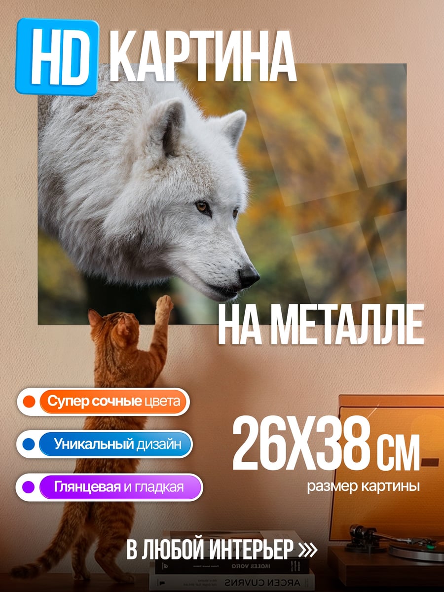 Картина на металле Белый волк