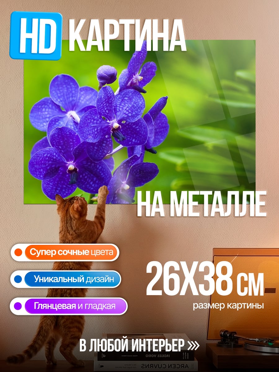 Картина на металле Синие орхидеи