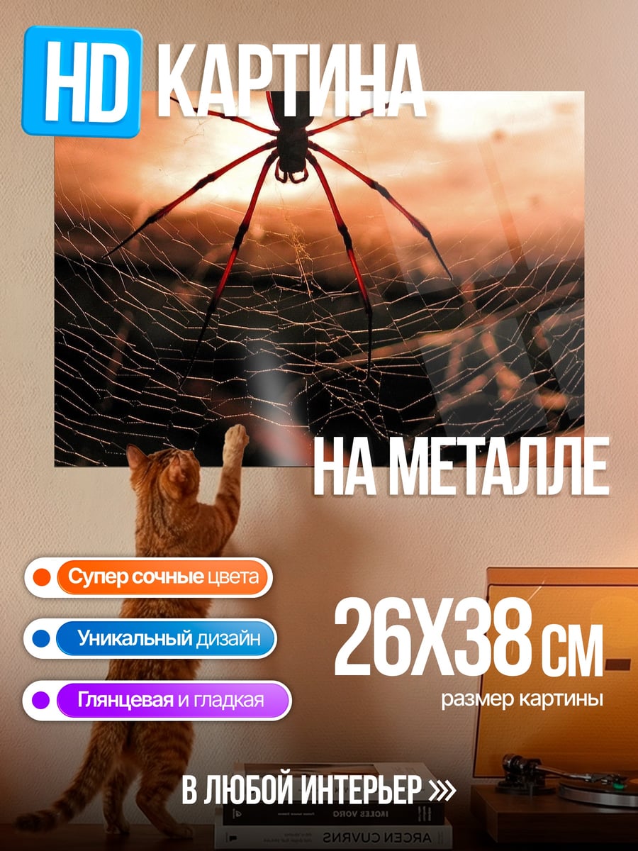 Картина на металле Паук на паутине
