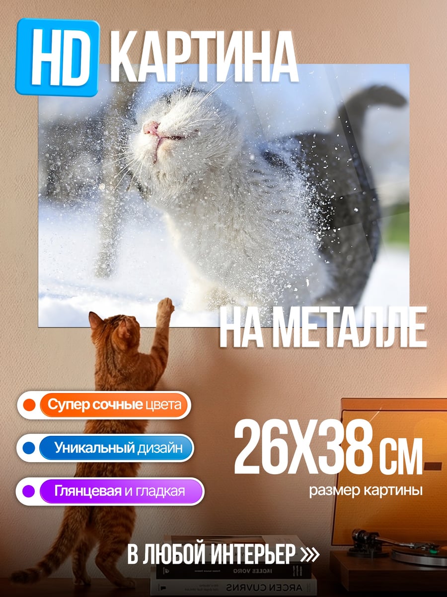 Картина на металле Кот в снегу