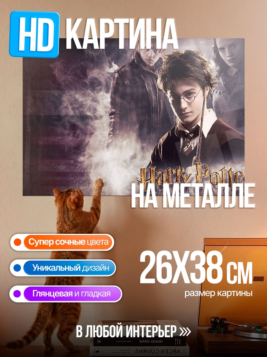 Картина на металле Гарри Поттер волшебник
