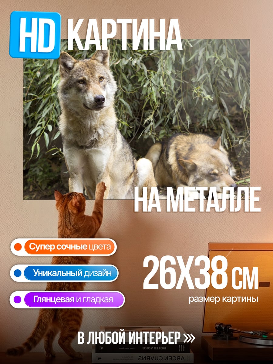 Картина на металле Два волка