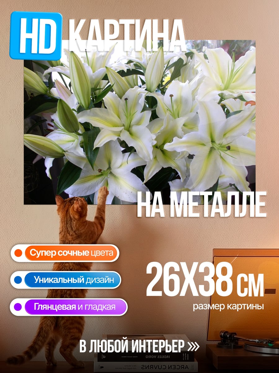 Картина на металле Белые лилии