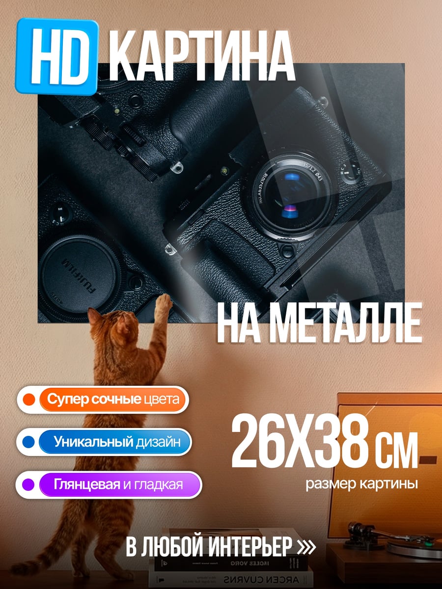 Картина на металле Черные камеры