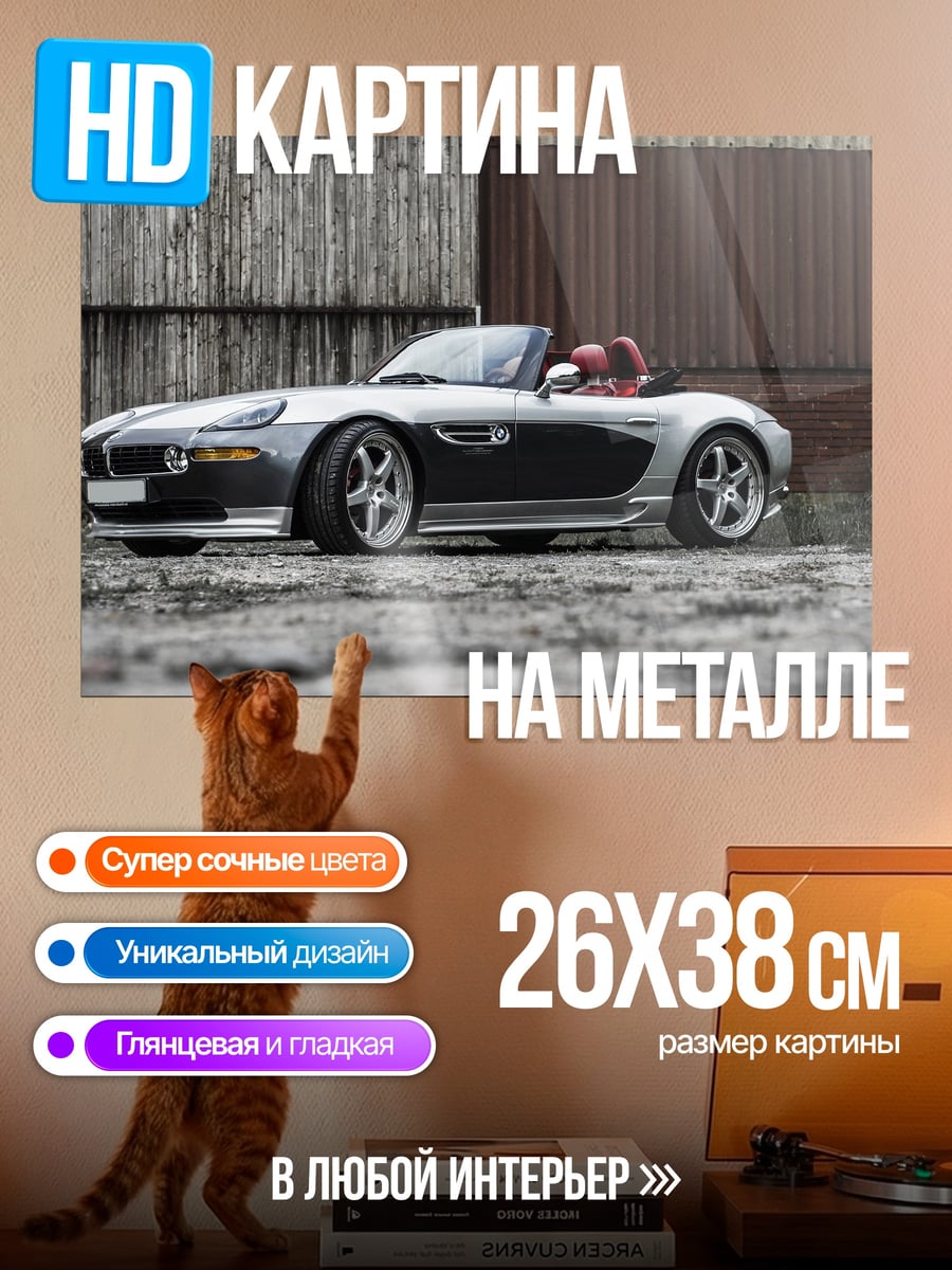 Картина на металле Серебристый родстер