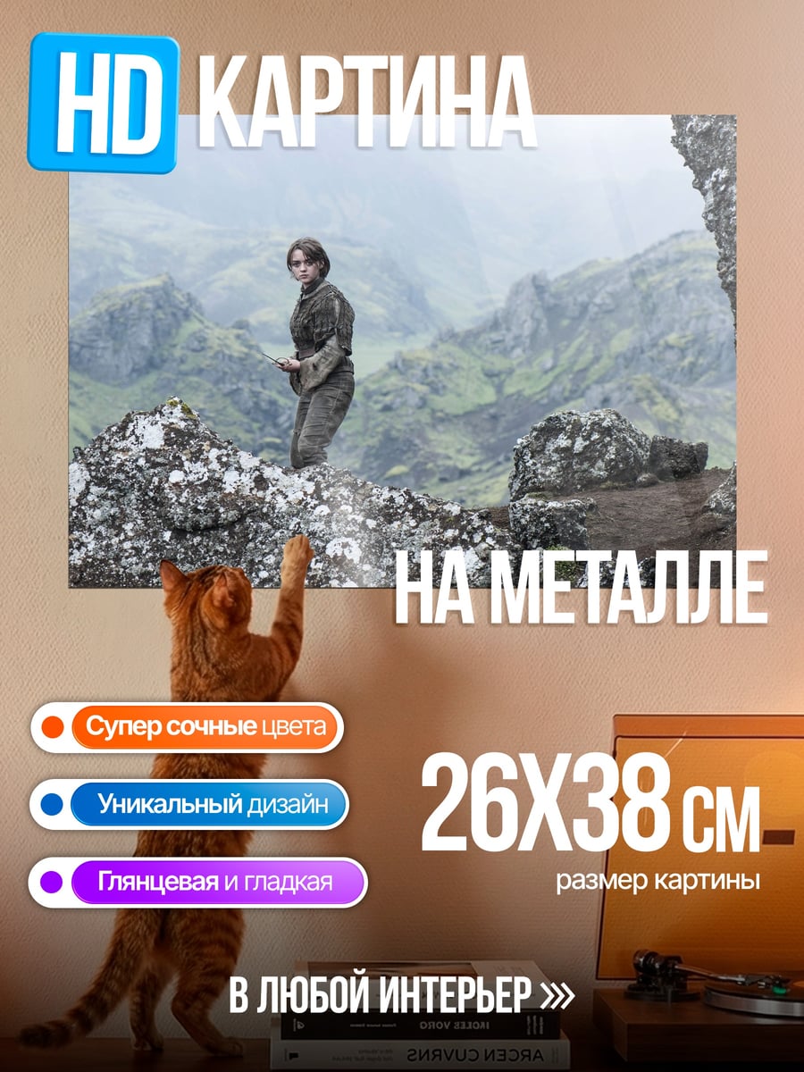 Картина на металле Девушка на скалах