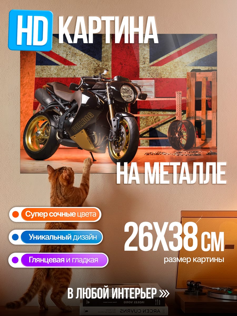 Картина на металле Мотоцикл и флаг