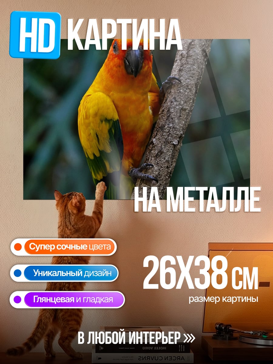 Картина на металле оранжевый попугай