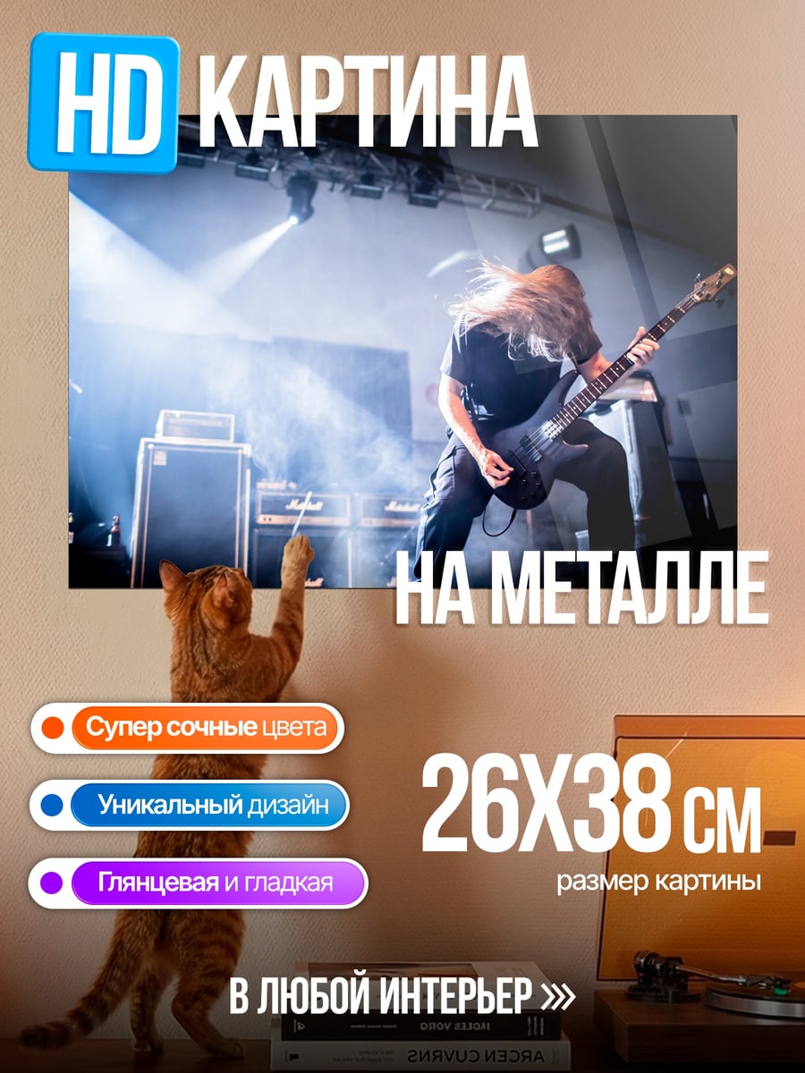 Картина на металле Гитарист на сцене