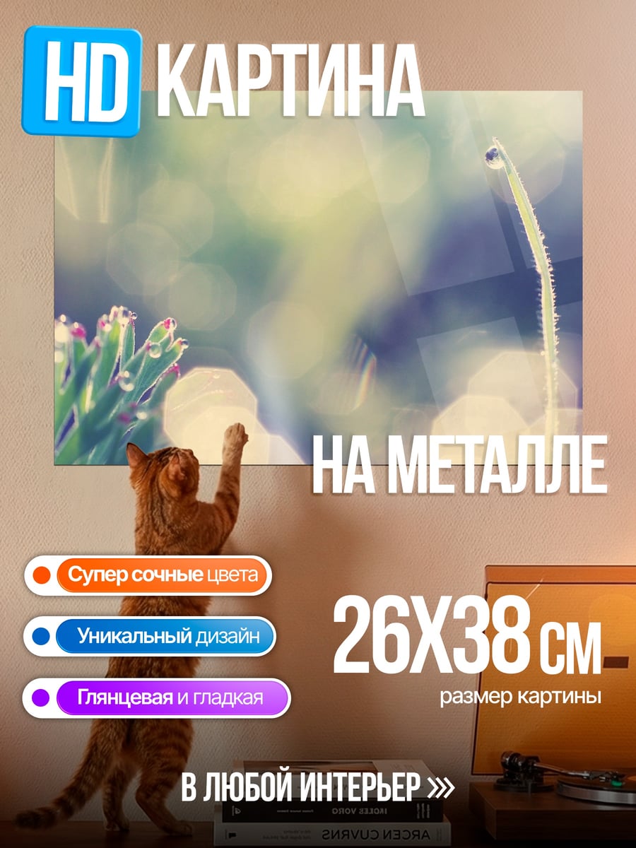 Картина на металле Капли на траве