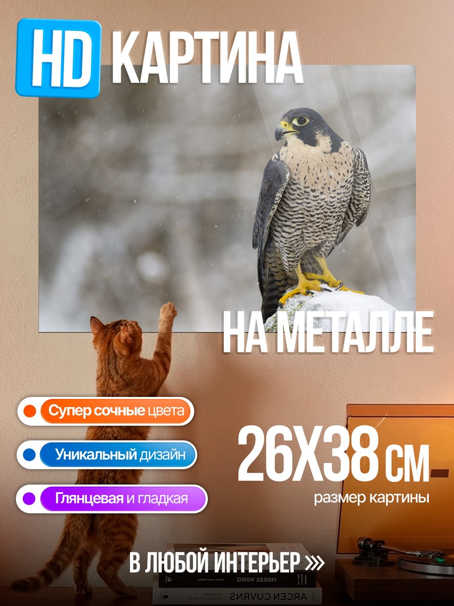 Картина на металле Сокол на камне
