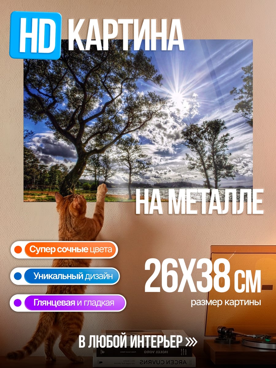 Картина на металле солнечный лес