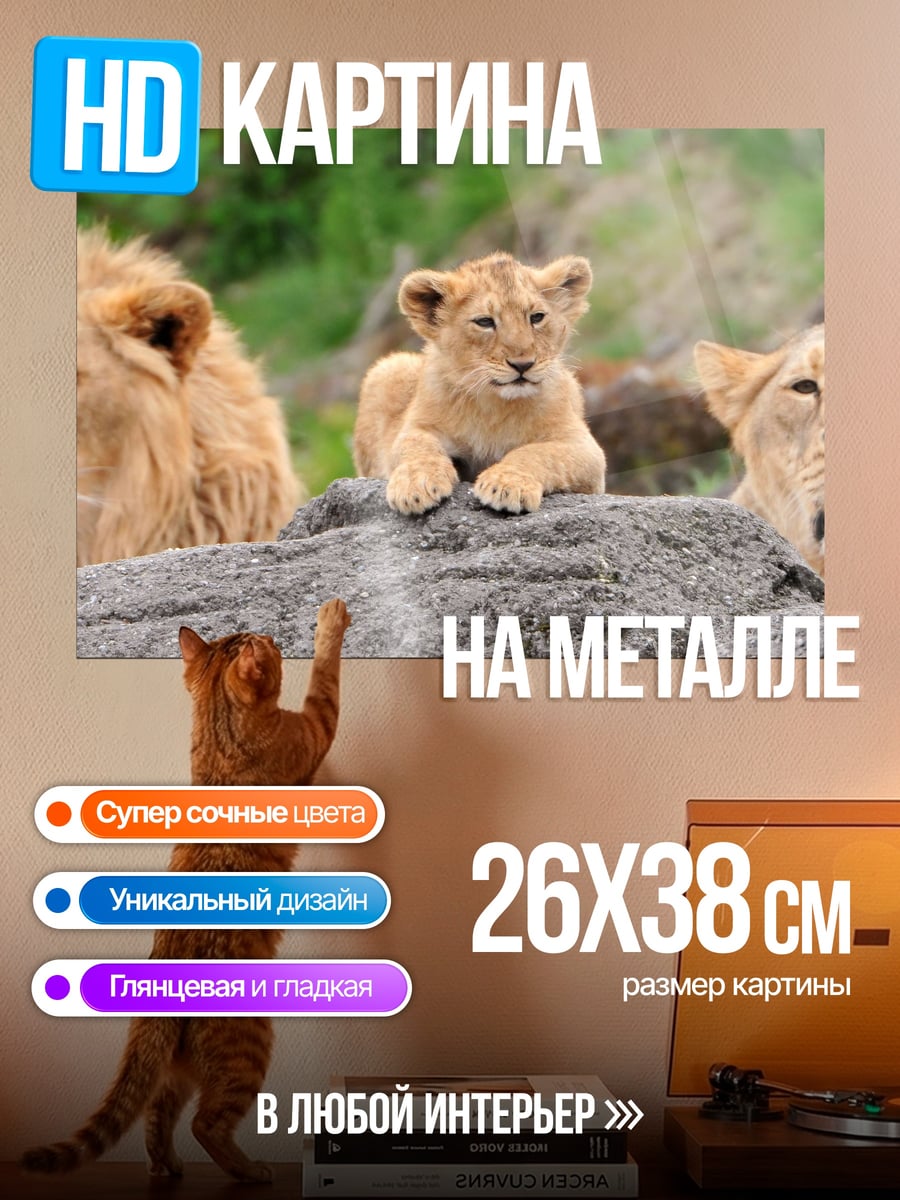 Картина на металле Львиная семья отдыхает