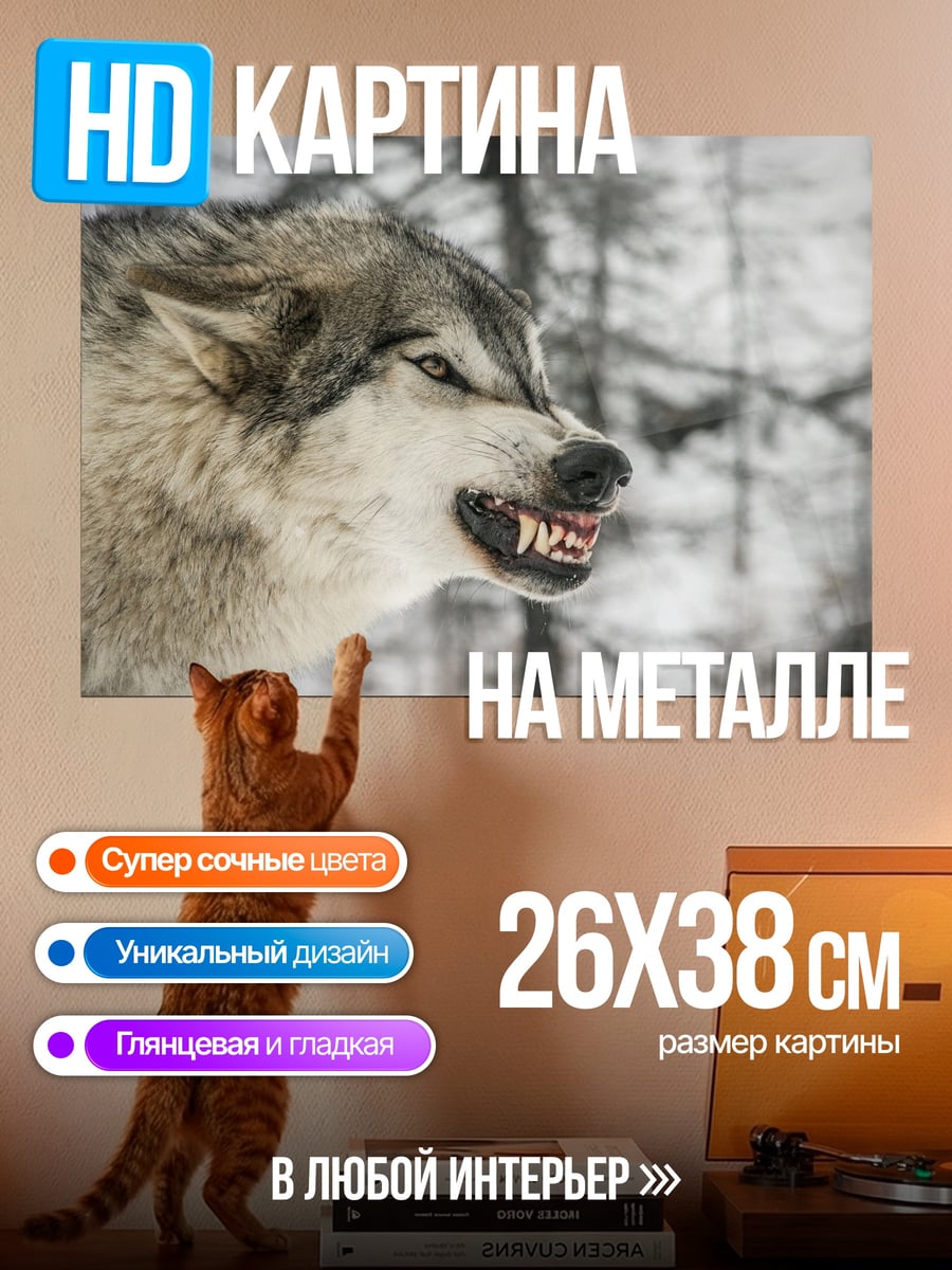 Картина на металле Злой волк