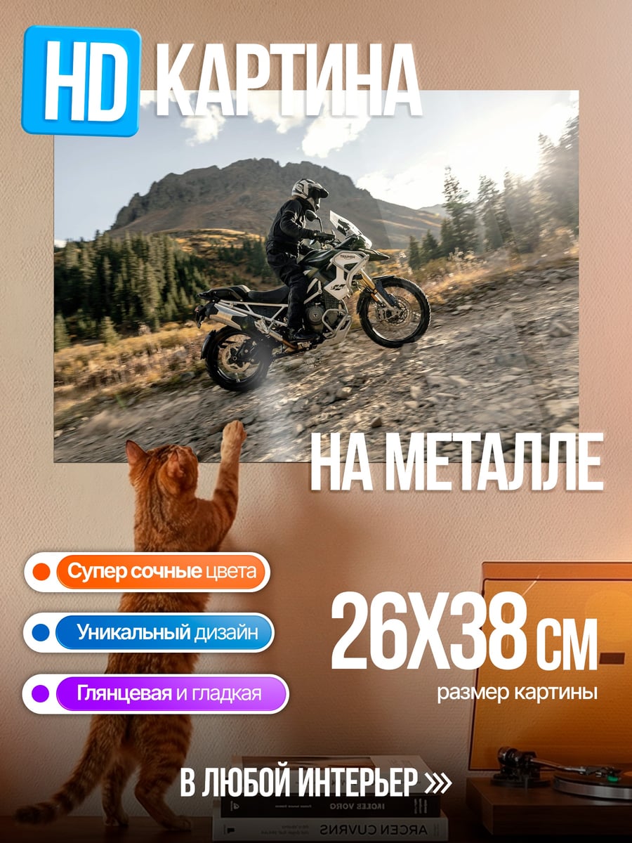 Картина на металле Мотоциклист в горах