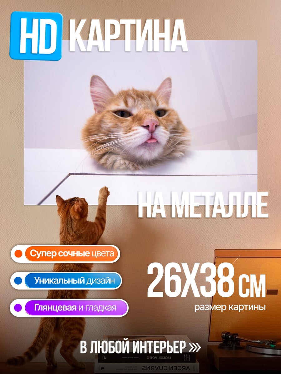 Картина на металле Рыжий кот