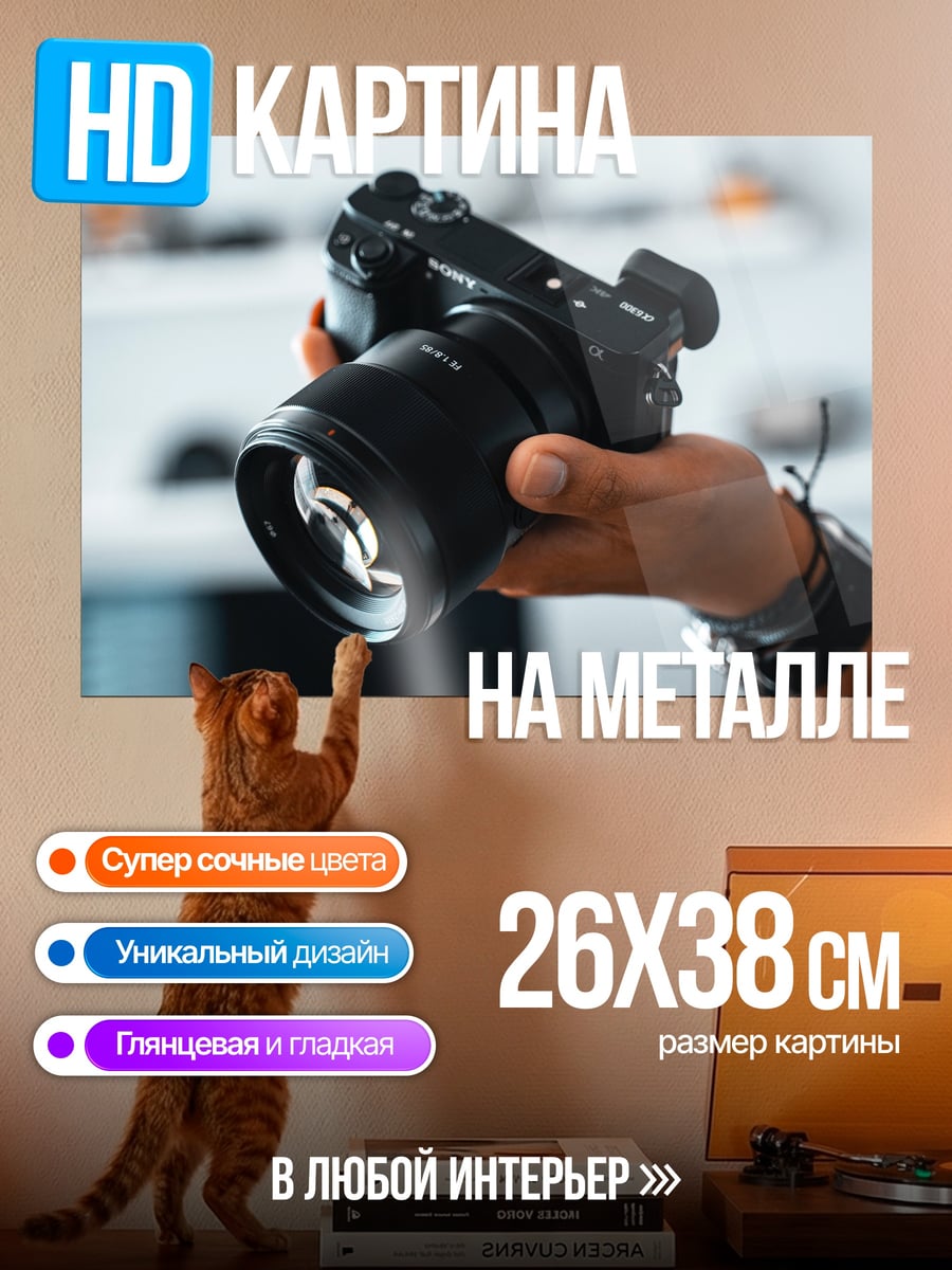 Картина на металле Фотоаппарат в руке