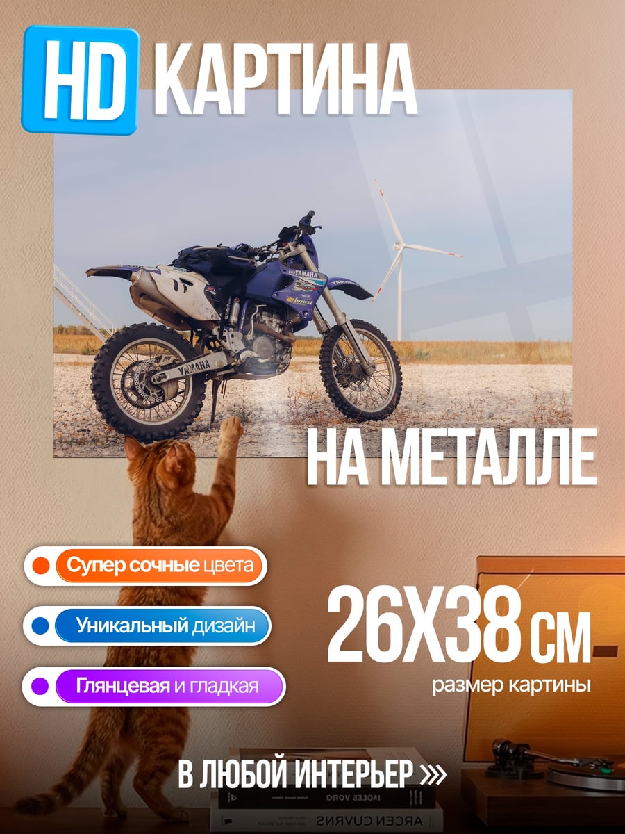 Картина на металле Мотоцикл в поле