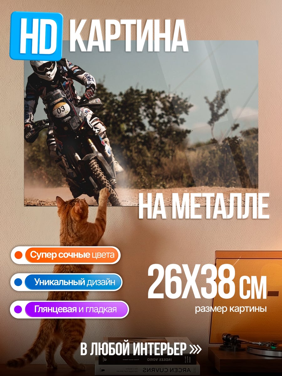 Картина на металле Мотоциклист в пыли